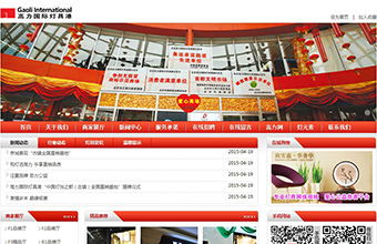 高力集团 网站建设