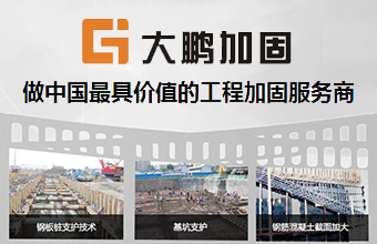 大鹏加固 网站设计及制作