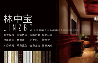 林中宝 网站设计及制作