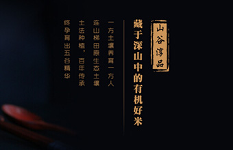 山谷粮农 网站建设