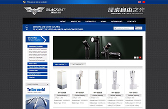 威宇电器 双语网站建设