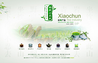 晓春茶业