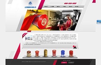 山东丽鹏股份有限公司