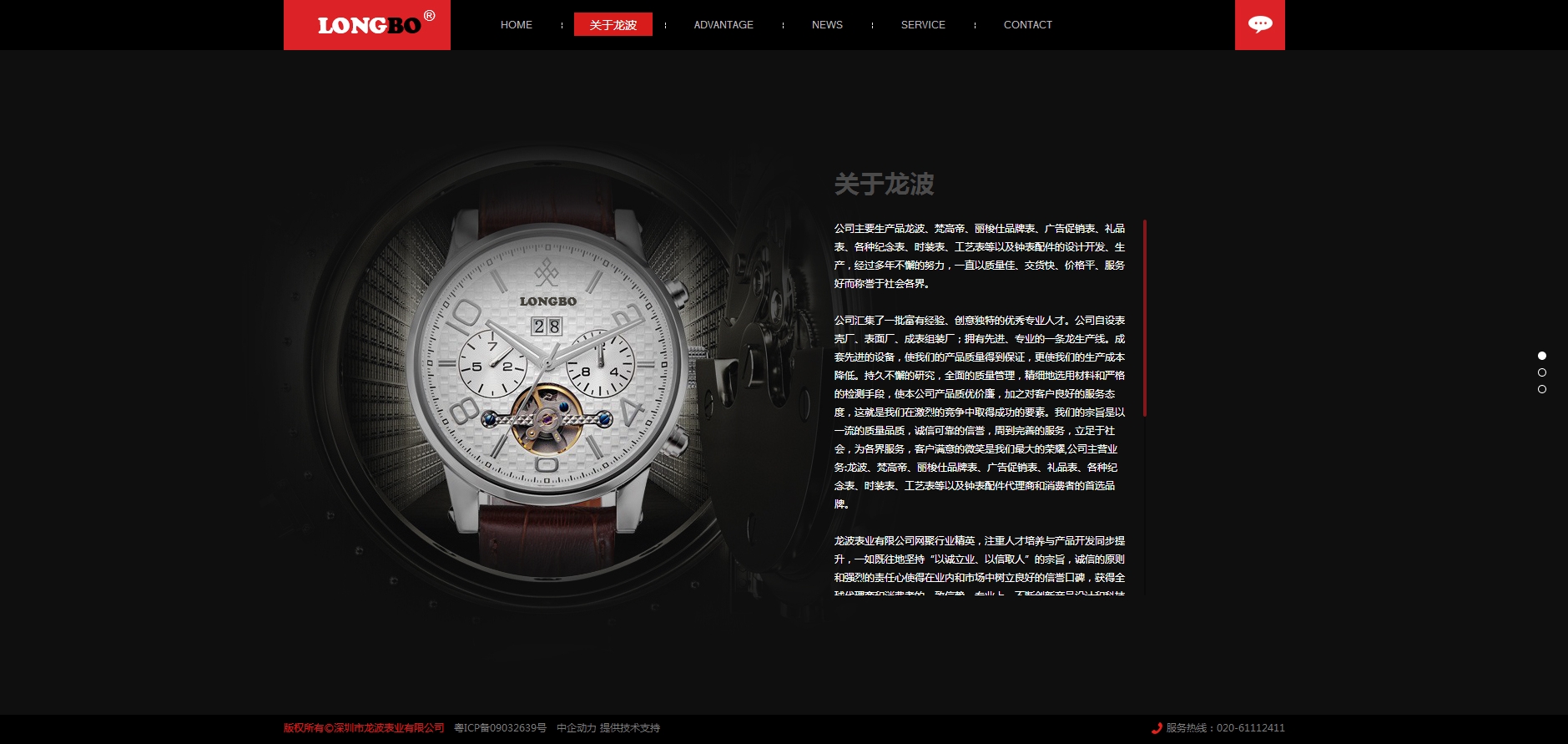 深圳市龙波表业有限公司