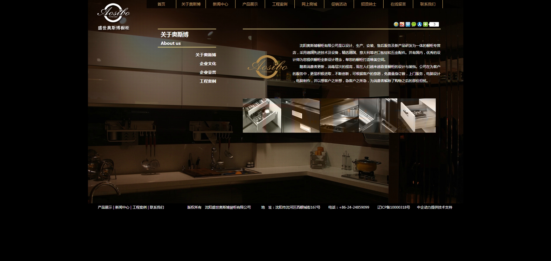 奥斯博 网站设计及制作