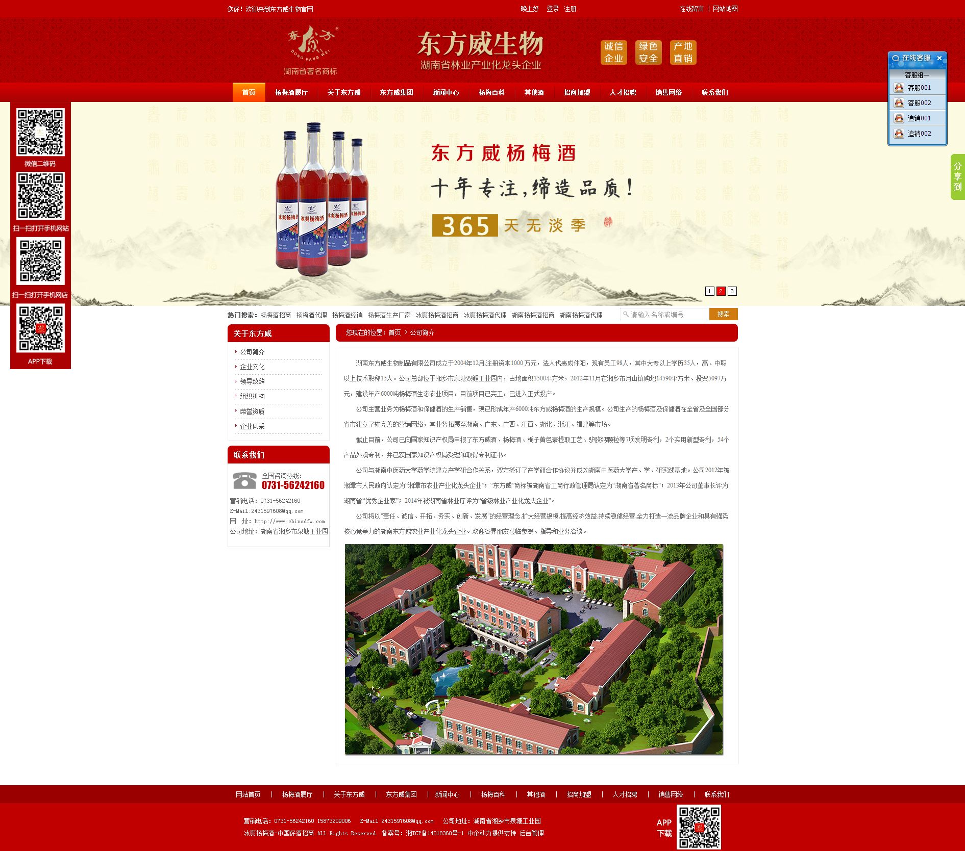 东方威生物 企业网站建设