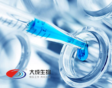 山东大成生物化工有限公司