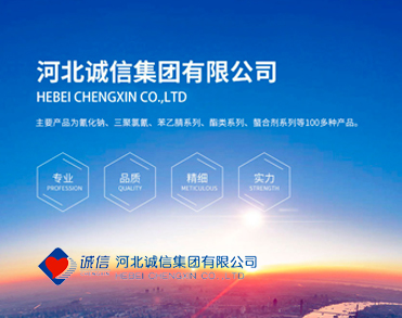 河北诚信集团有限公司