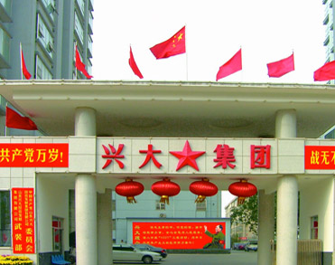 临沂兴大工程有限责任公司