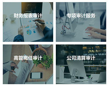 北京审信东审税务师事务所有限责任公司