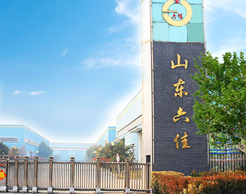 山东六佳药用辅料股份有限公司