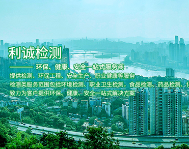 广东利诚检测技术有限公司