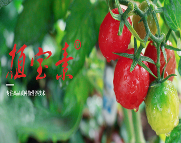 佛山市植宝生态科技有限公司