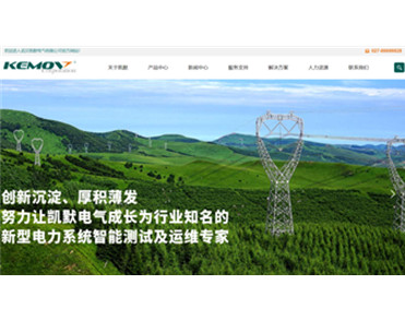 武汉凯默电气有限公司