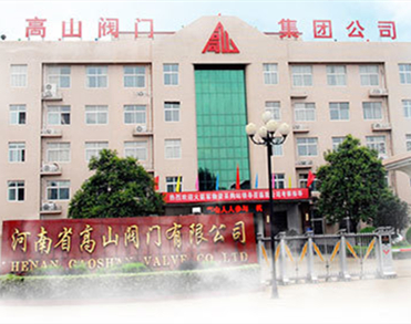 河南省高山阀门有限公司