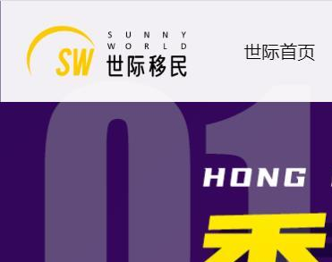 广州市世际咨询服务有限公司