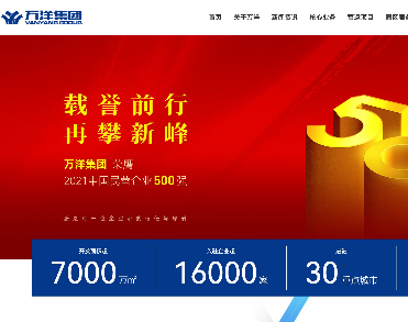 万洋集团有限公司