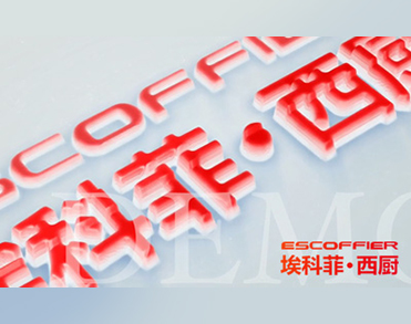 山东埃科菲西厨电器有限公司