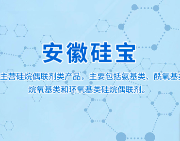 安徽硅宝有机硅新材料有限公司