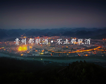 贵州严钢酒业有限公司