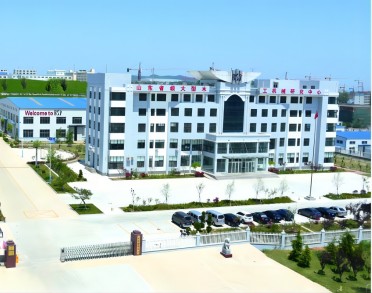 山东百圣源集团有限公司