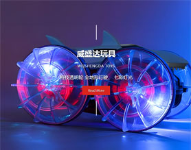 汕头市威盛达玩具有限公司
