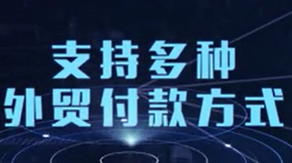 海外订购支付演示