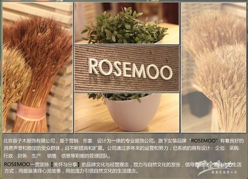 企业网站建设成功案例  Z 企业网站