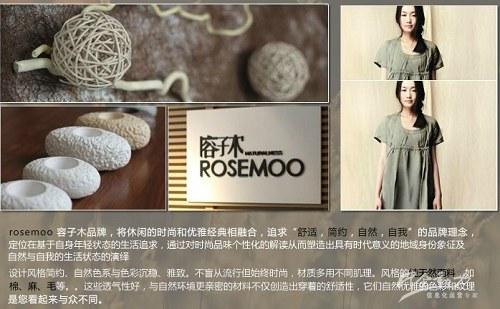 企业网站建设成功案例 Z 企业网站