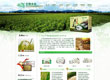 双辽市茂林镇荣彪种植专业合作社