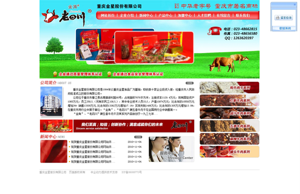 重庆金星股份有限公司