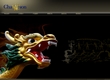 大连乾龙水上运动发展有限公司