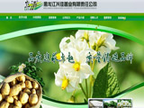 黑龙江兴佳薯业有限责任公司