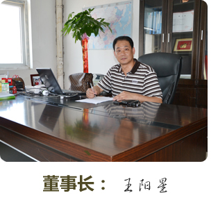 王总