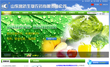 山东鲁抗生物农药