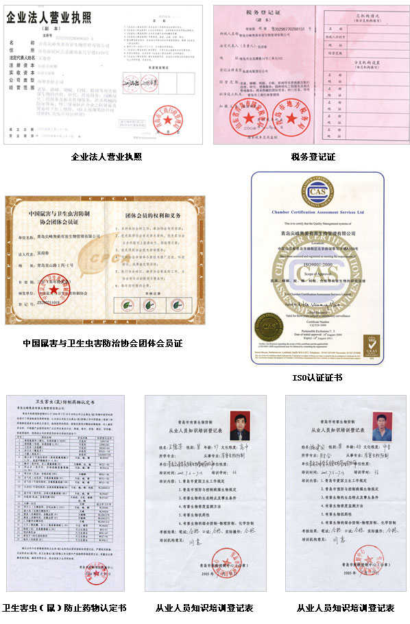 荣誉资质