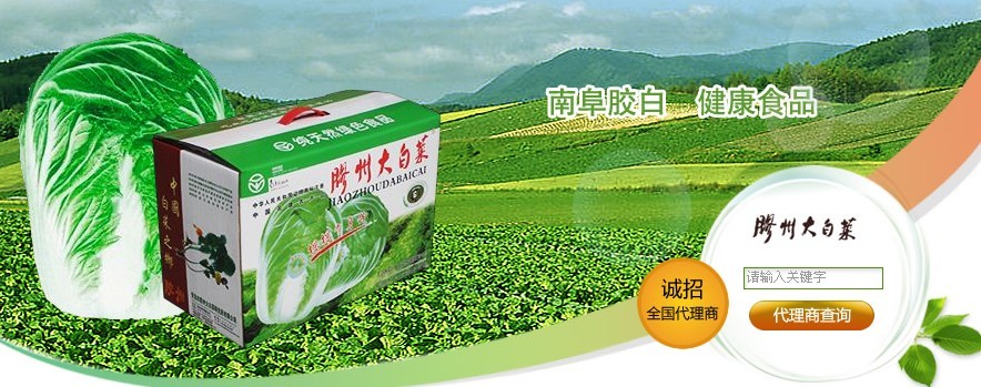 胶州大白菜