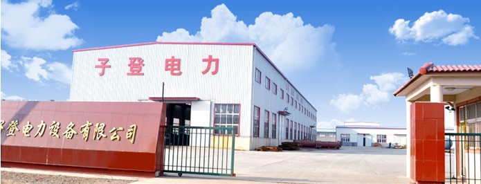 子登电力