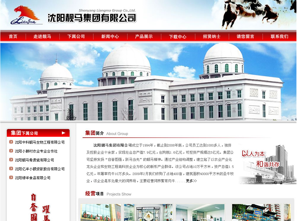 沈阳靓马集团有限公司