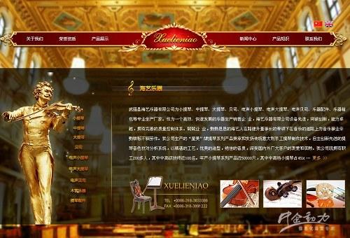 武强县海艺乐器有限公司