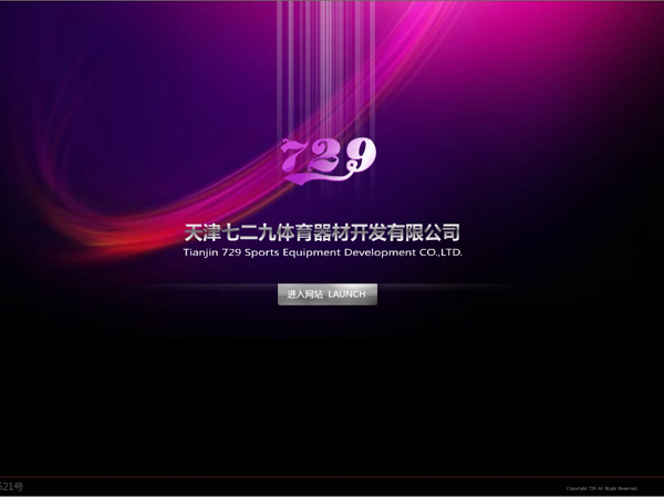 天津七二九体育器材销售有限公司