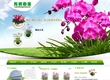 寿光万芳园艺有限公司