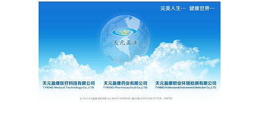 潍坊天元盈康职业环境检测有限公司