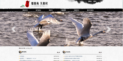 荣成烟墩角水产有限公司