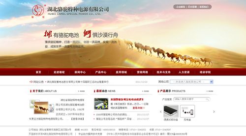 湖北骆驼特种电源有限公司