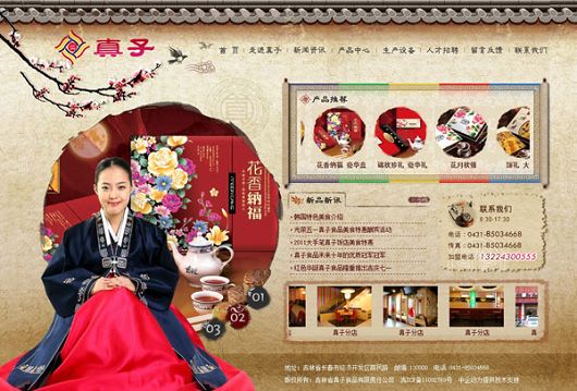 企业网站建设成功案例  Z 网站