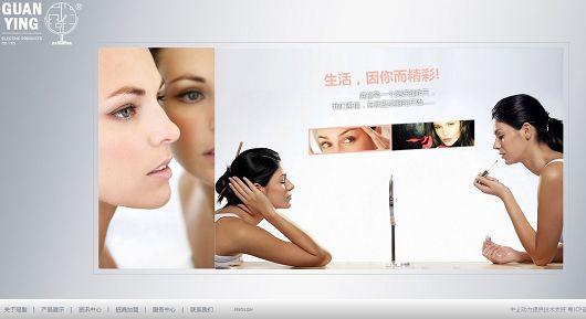 企业网站建设成功案例 Z 网站