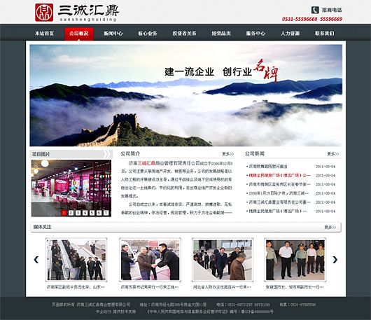 企业网站建设成功案例  Z 网站