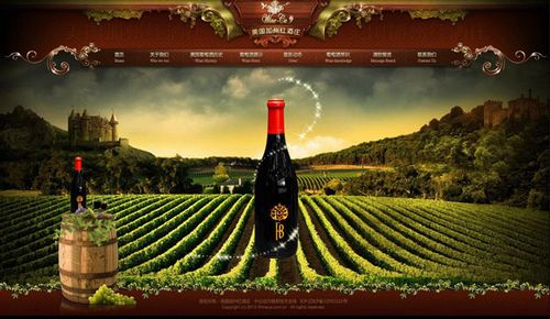 网站建设案例-美国加州红酒庄
