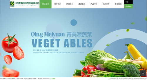 云南青美农业科技发展有限公司